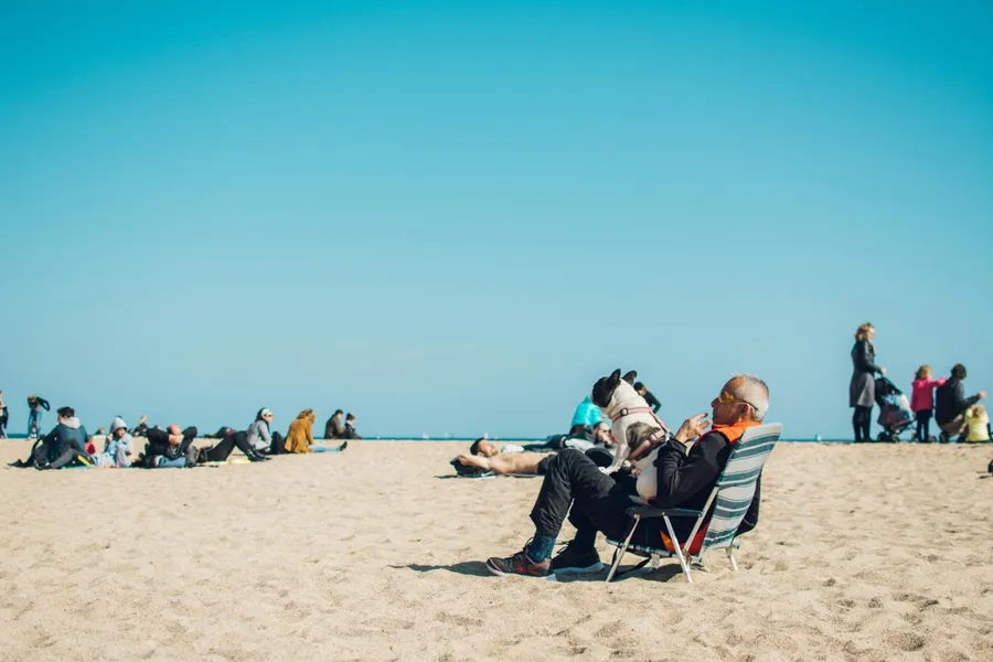 une homme de 60 ans assis sur une plage avec son chien
