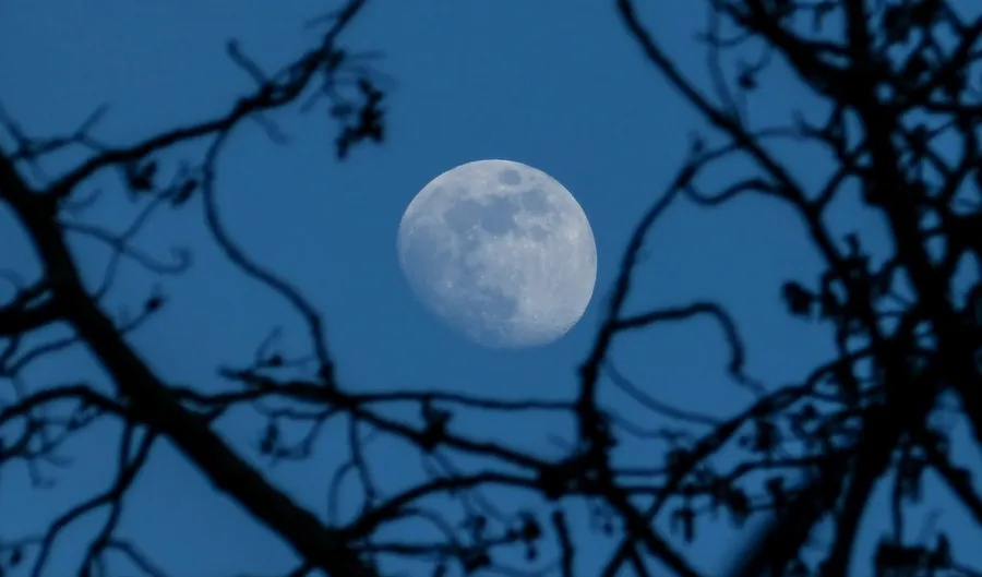la lune qui brille la nuit